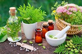 Best homeopathic practitioner
